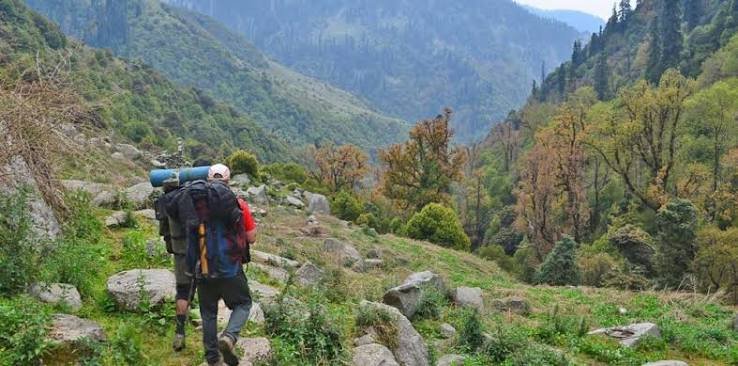 Bear Forest Trek Rakchham