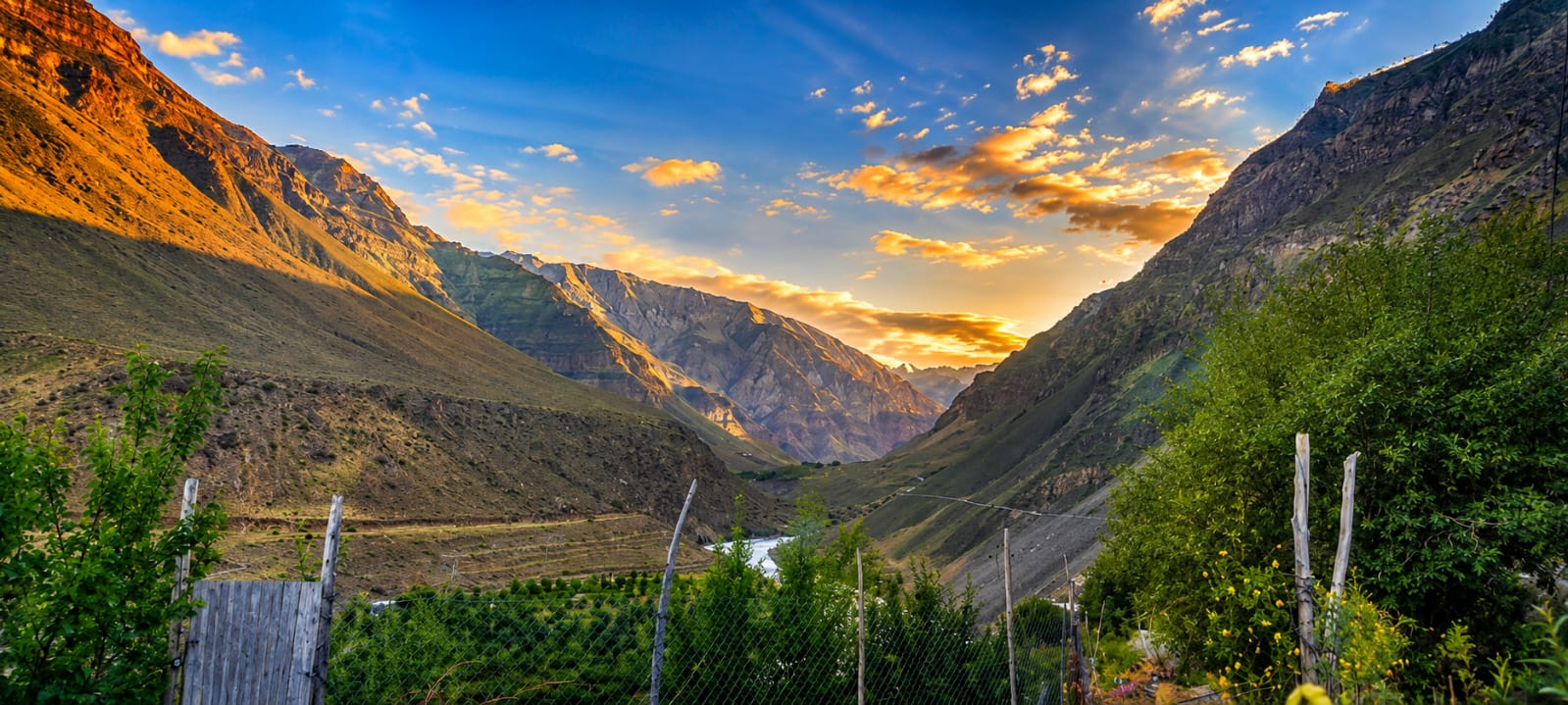 Spiti Valley Landscapes — Ridge and Roots