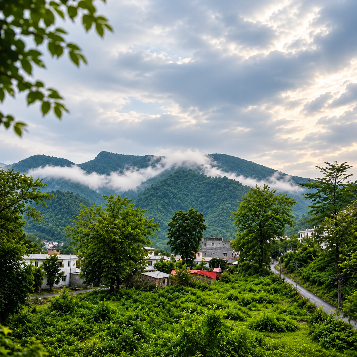 Wake up to endless green hills and serene mountain air during your stay.